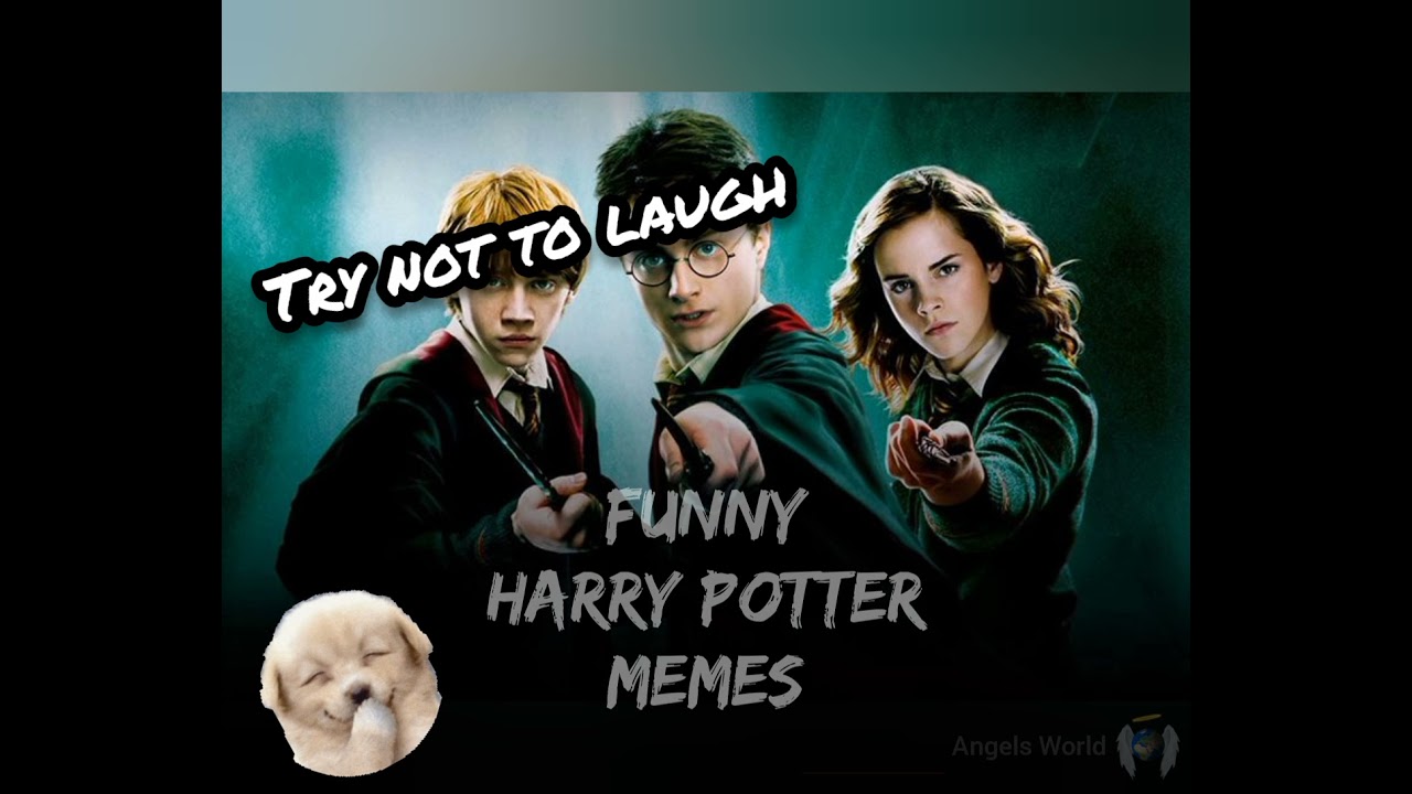 HARRY POTTER CLEAN MEMES PART-1 